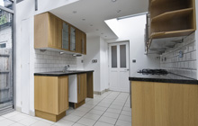 Crouch Hill kitchen extension leads